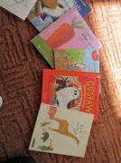 książki wypożyczone w bibliotece