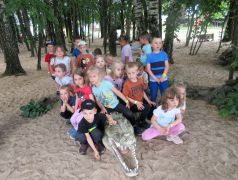 Nie boimy się krokodyla!