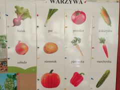 o warzywach