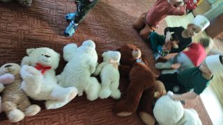 większy obrazek nr 1