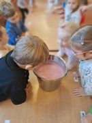 większy obrazek nr 8