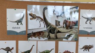 Obrazki dinozaurów 