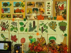 Jesień- gazetka tematyczna