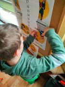 większy obrazek nr 13