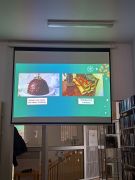 większy obrazek nr 22