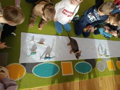 odrysowujemy cienie dinozaurów