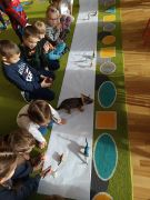 odrysowujemy cienie dinozaurów