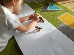 odrysowujemy cienie dinozaurów