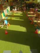 czworakowanie z omijaniem przeszkód