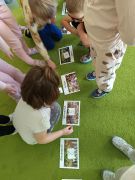 większy obrazek nr 16