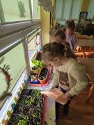 Zielony ogródek w sali