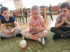 większy obrazek nr 4