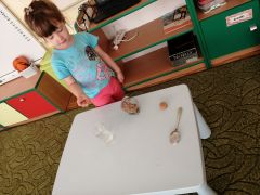 większy obrazek nr 26