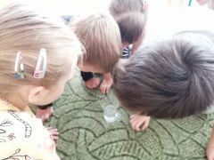 większy obrazek nr 27