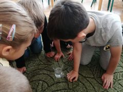 większy obrazek nr 28