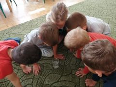 większy obrazek nr 31