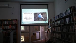 większy obrazek nr 3