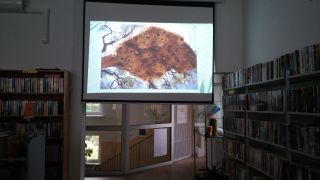 większy obrazek nr 4