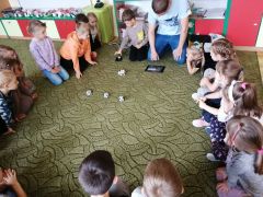 większy obrazek nr 21