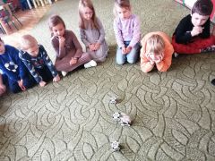 większy obrazek nr 24