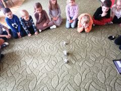 większy obrazek nr 25