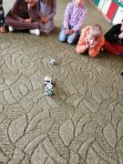 większy obrazek nr 26