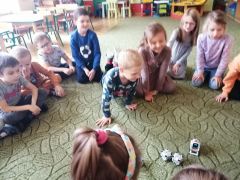 większy obrazek nr 29