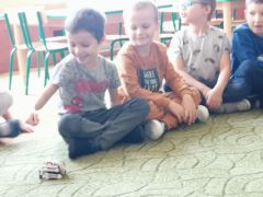 większy obrazek nr 62