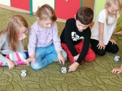 większy obrazek nr 65