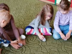 większy obrazek nr 66