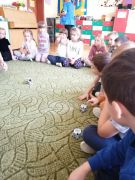 większy obrazek nr 68