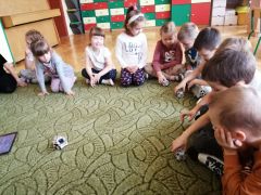 większy obrazek nr 70