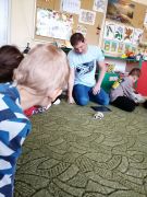 większy obrazek nr 73