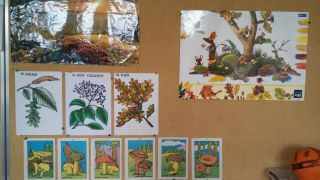 większy obrazek nr 6