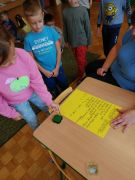 większy obrazek nr 7