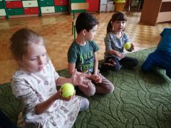 większy obrazek nr 13