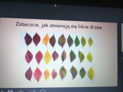 większy obrazek nr 3