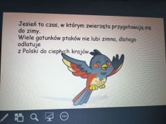 większy obrazek nr 5
