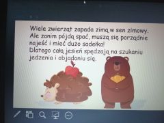 większy obrazek nr 6