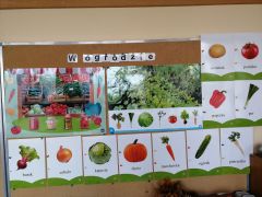 większy obrazek nr 13