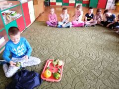 większy obrazek nr 15