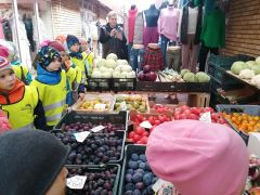 większy obrazek nr 26