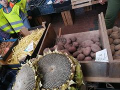 większy obrazek nr 30