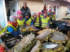 większy obrazek nr 33