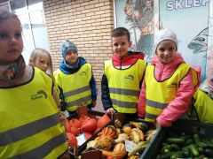 większy obrazek nr 34