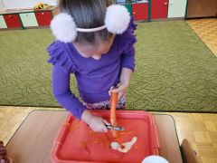 ilustracja do wpisu 
Jesień w ogrodzie