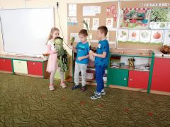 większy obrazek nr 86