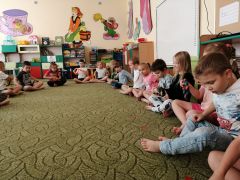 większy obrazek nr 122