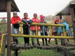 większy obrazek nr 6