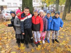 większy obrazek nr 10